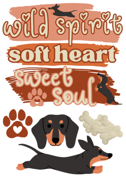 Bügelbild wild spirit soft heart wild soul
